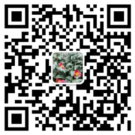 手機(jī)網(wǎng)站